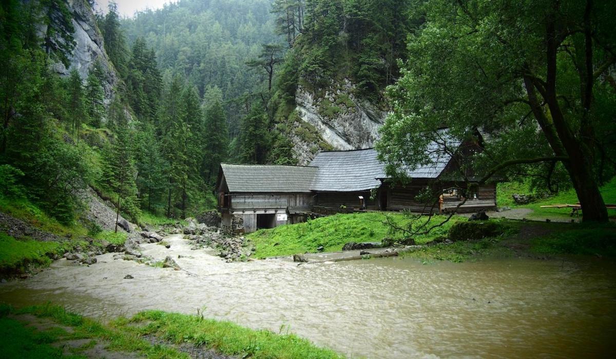 Prazdninove Byty U Kamarata Habovka Bagian luar foto