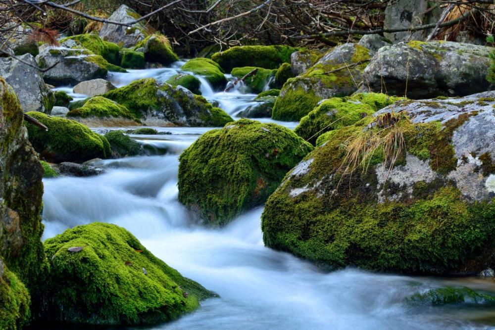 Prazdninove Byty U Kamarata Habovka Bagian luar foto