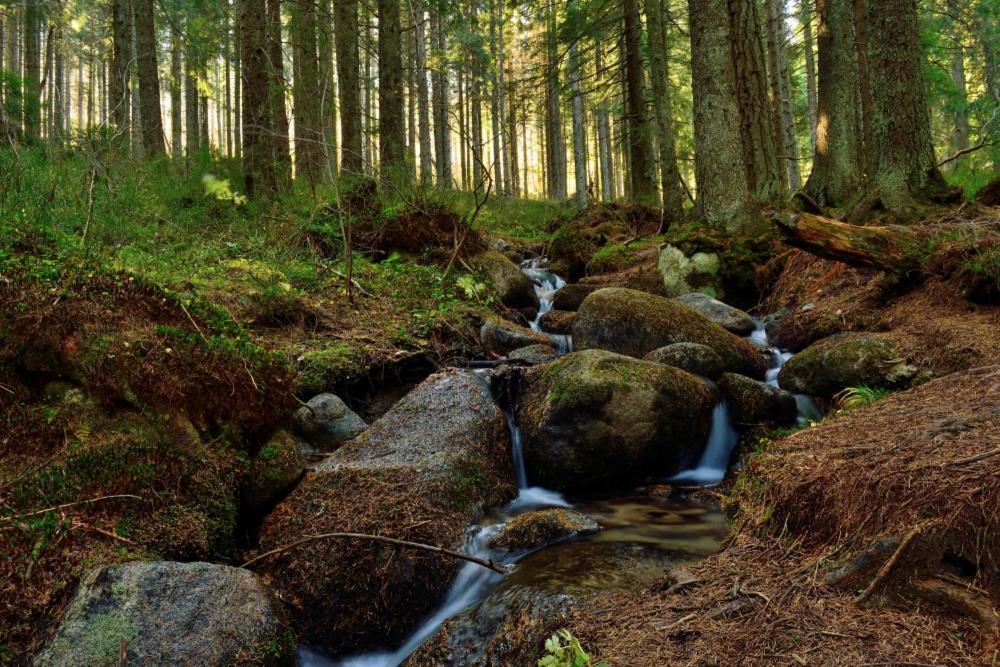 Prazdninove Byty U Kamarata Habovka Bagian luar foto