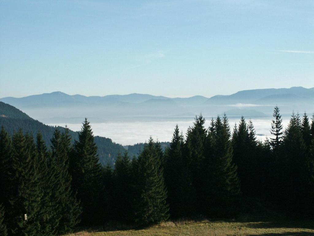 Prazdninove Byty U Kamarata Habovka Bagian luar foto