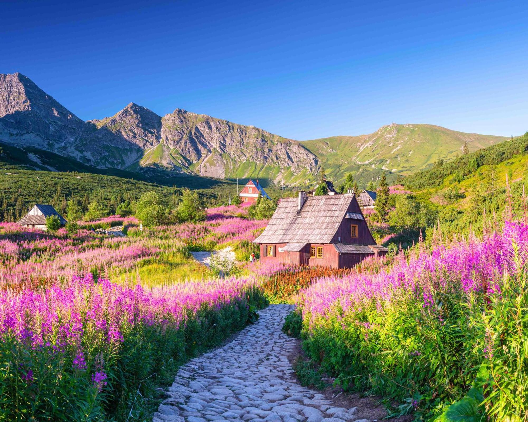 Prazdninove Byty U Kamarata Habovka Bagian luar foto